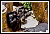 lazing in the sun...