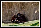  mother and child having fun...