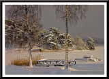 too cold for a boat trip...