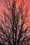January sunset