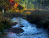 The  river at Nicholas Farm