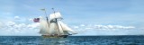 Tall ships I have the wind in my sails  Newport Ri.
