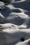 Snowy Dune