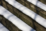 Snowy levels