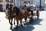 Horse Drawn Carriage
