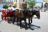 Horse Drawn Carriage