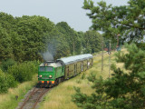 Pruszcz Bagienica