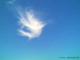 Nuages, petit oiseau  Antonio DE MORAIS  2007.jpg