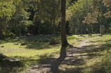 Arkils tingstad4.jpg