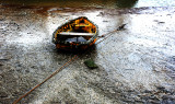 leigh on sea 135.JPG