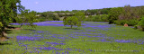 Serenity of Blue