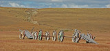 Estancia Penitente, Punta Arenas, Chile