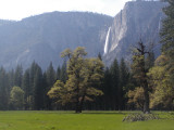 Yosemite IV.JPG