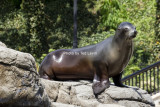 Prospect Park Zoo_02.jpg