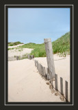 Fence on the dunes