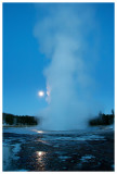 Daisy Geyser erupting