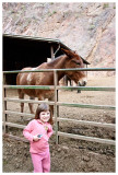 Visiting the mules