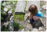 Norah trying to catch a toad