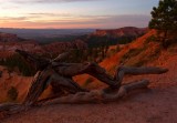 115 Bryce sunrise 1.jpg