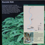 432 Zion Riverside Walk 1.jpg