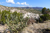 864 Tent Rocks.jpg