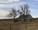 Old Homestead