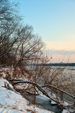 Very Cold Day At The River