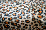 Leopard Skin