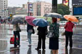 The Umbrellas Of Cherbourg