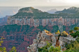 The Grand Canyon - North Rim