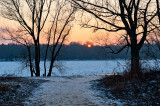 Follow The Sun