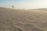 Sandstorm In Mesquite Dunes