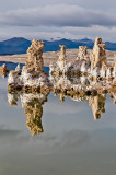 Mono Lake Tufa Columns