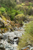 Creek Along Route 140