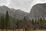 El Capitan And Ribbon Fall