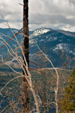 View From Wawona Road
