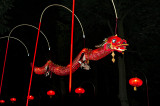 Dragon Of Chinese Lanterns Alley