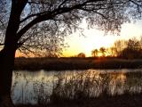 Over The Pond