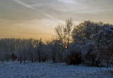 Frosty End Of Day