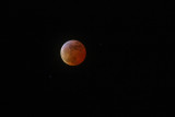 IMG_1643s.JPG