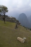 Machupichu Peru @f11 12mm D70