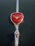 1953 Jaguar XK140
