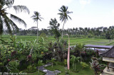 Bali 079.jpg