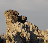 Petrified_Formation_Tufa.jpg