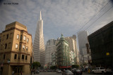 Transamerica Pyramid