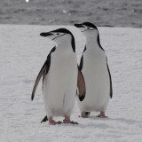 DSC_7173 pbase.jpg