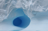 Antarctica-Weddell Sea   nov/dec 2011