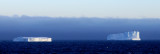 Iceberg Alley 11