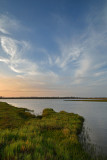 Bolsa Chica Wetlands