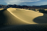 Dunes at Dawn